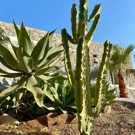 Sensus Mykonos * Kalafati
